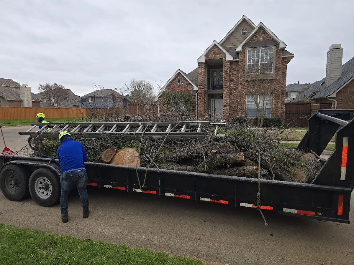 Expert Tree Fertilization with proper safety equipment in Conroy